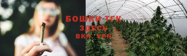 мескалин Новозыбков