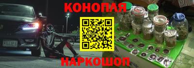 прущие грибы Волгодонск