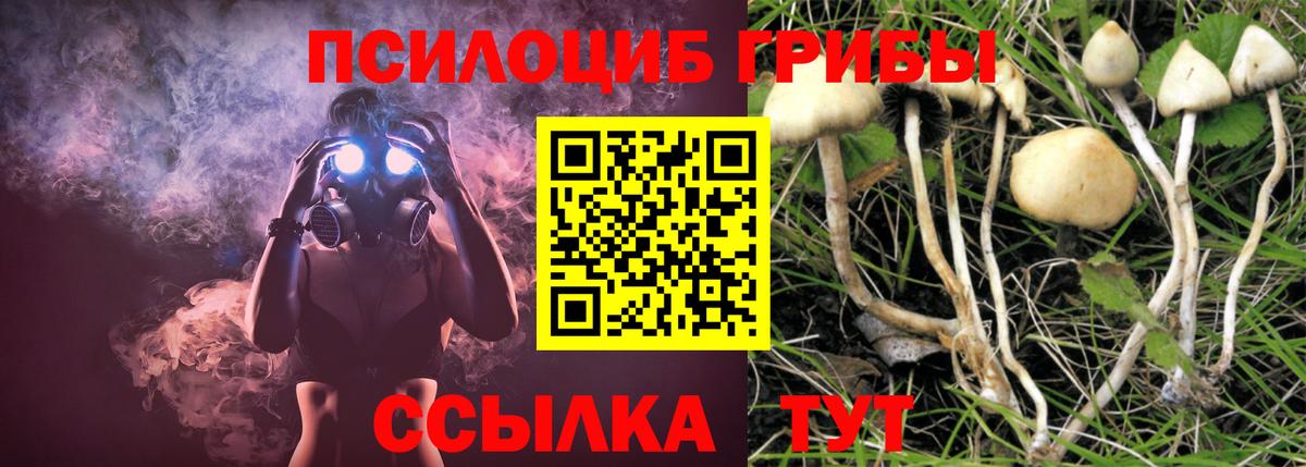 Галлюциногенные грибы MAGIC MUSHROOMS Красноярск